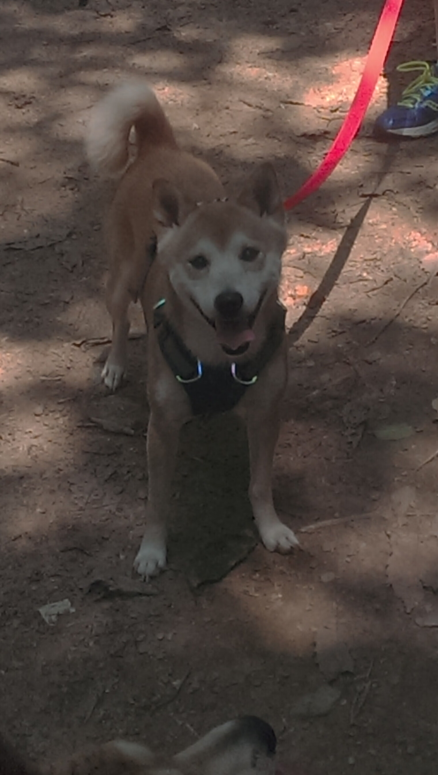 开云体育-_水中雕塑比赛：科技点缀的艺术运动_，水下雕塑